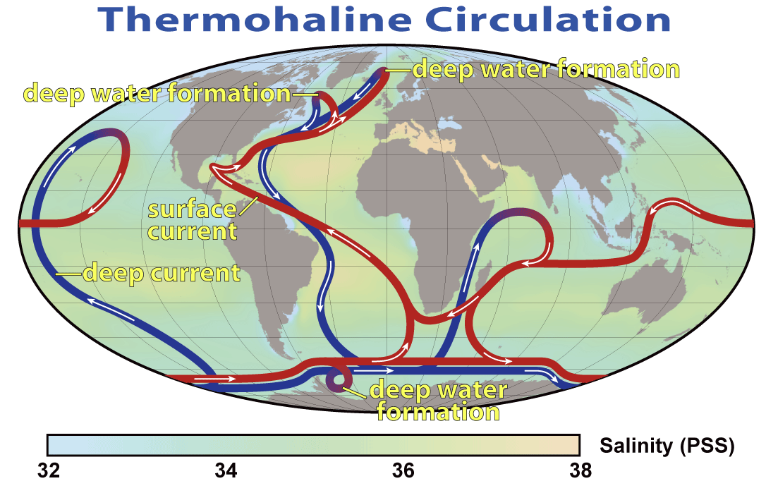 A diagram of the earth's water circulation

Description automatically generated