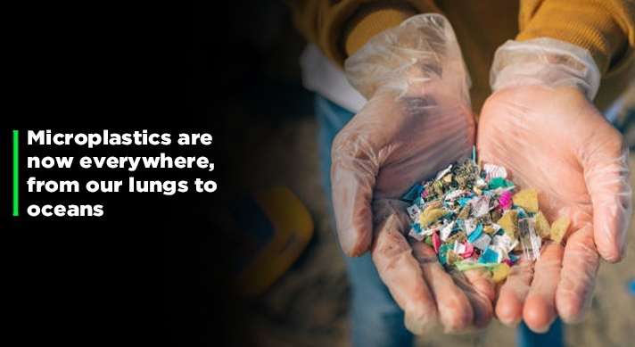 A person holding a handful of plastic waste

Description automatically generated