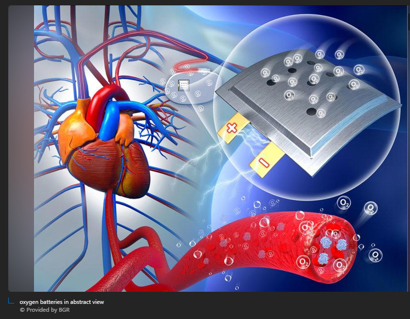 A computer screen shot of a human heart

Description automatically generated