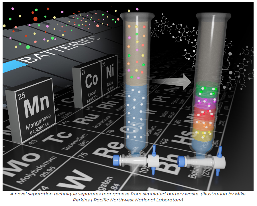 A close-up of several test tubes

Description automatically generated