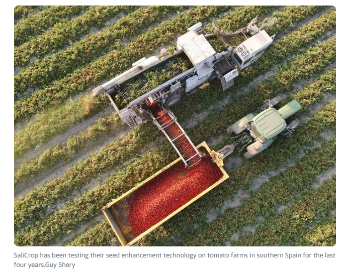 A tractor loading tomatoes into a truck

Description automatically generated